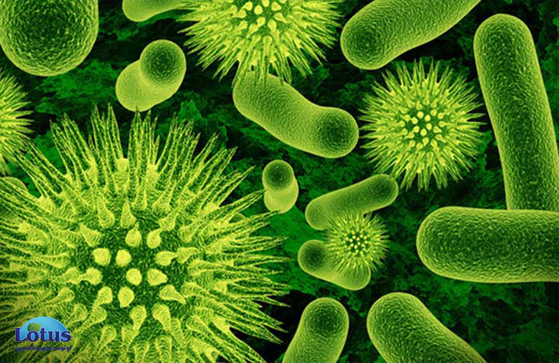 بیماری هایی که منشا میکروارگانیسم دارند