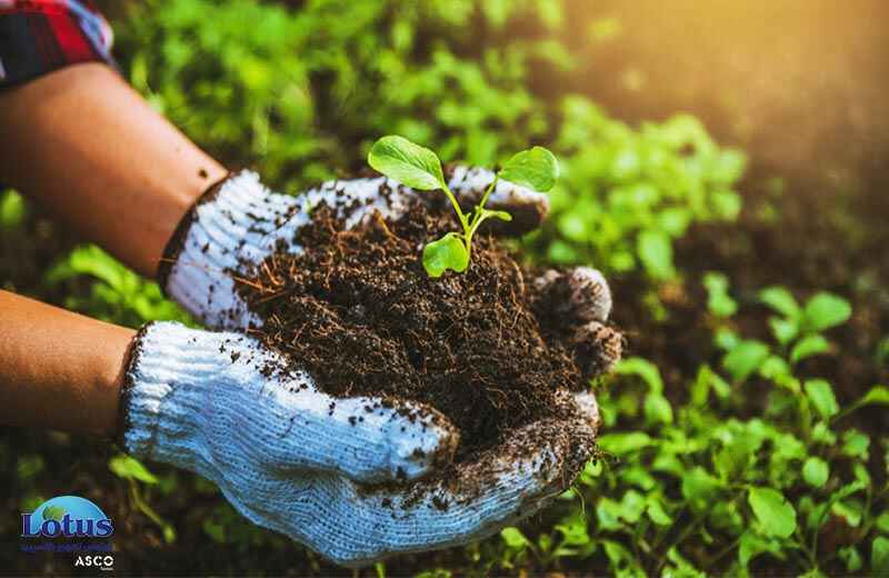 ازن در کشاورزی - لوتوس تجهیز کاسپین