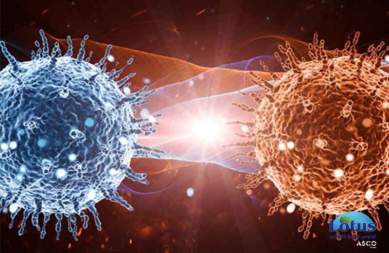 مکانیسم عمل ازن بر انواع میکروارگانیسم ها - لوتوس تجهیز کاسپین