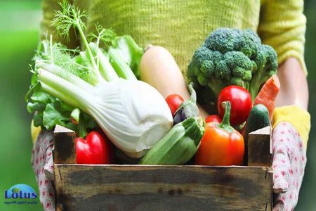 اثر ازن بر میوه جات و سبزیجات - لوتوس تجهیز کاسپین