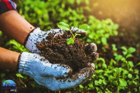 ازن در کشاورزی - لوتوس تجهیز کاسپین