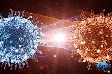 مکانیسم عمل ازن بر انواع میکروارگانیسم ها - لوتوس تجهیز کاسپین